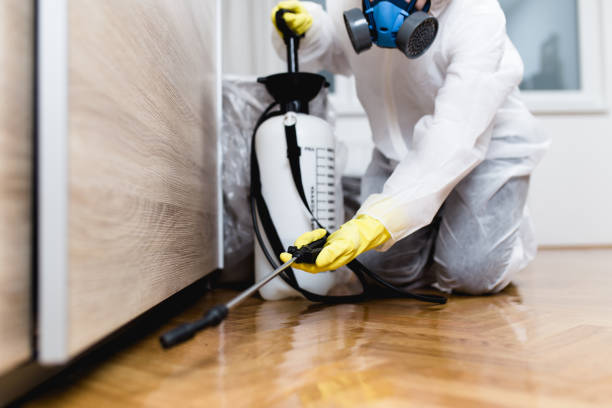 Best Bed Bug Extermination  in Colfax, LA