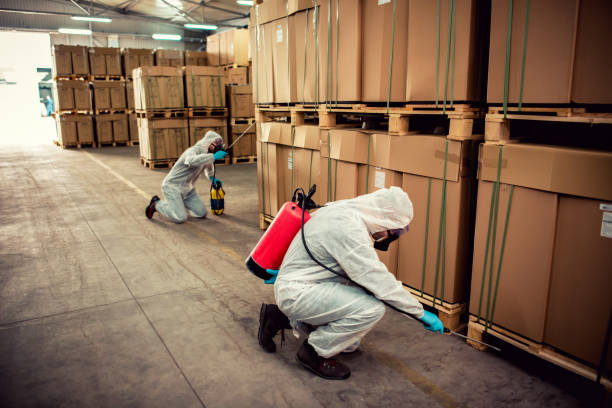 Best Termite Control Services  in Colfax, LA
