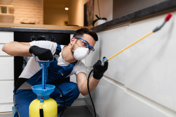 Best Best Pest Control Companies  in Colfax, LA