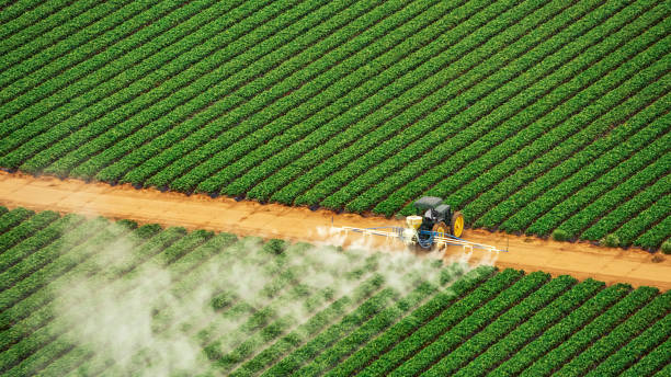 Best Pest Inspection Near Me  in Colfax, LA