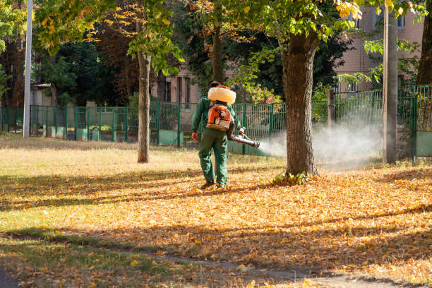 Best Pest Control Near Me in Colfax, LA