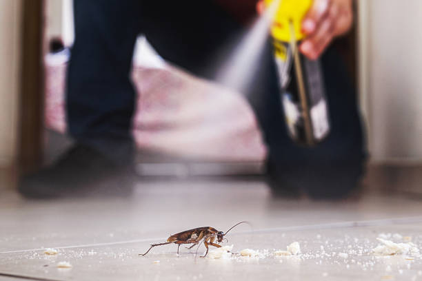 Pest Control for Restaurants in Colfax, LA