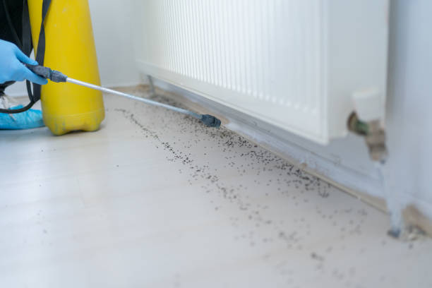 Trusted Colfax, LA Pest Control Experts