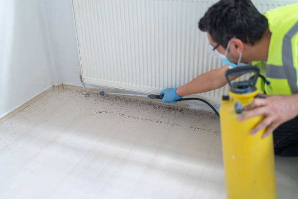 Best Cockroach Control Services  in Colfax, LA