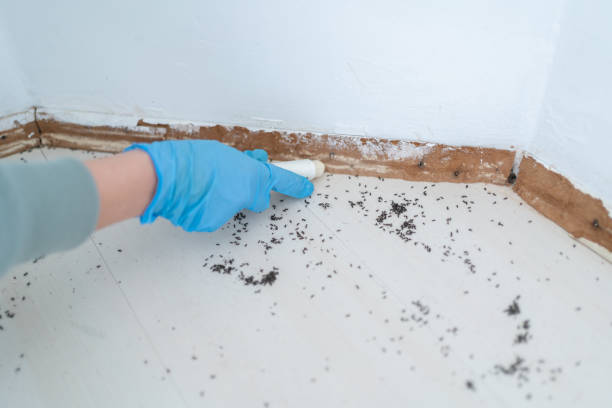 Best Commercial Pest Control Services  in Colfax, LA